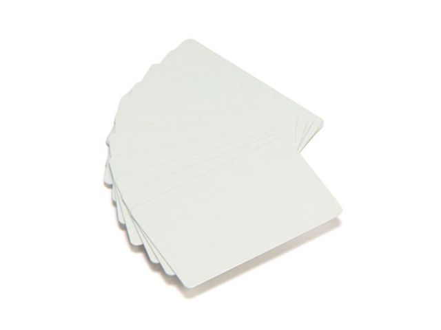 Zebra Card bianche in Pvc Ultrasottile 0,25mm (conf. da 100 pz.)
