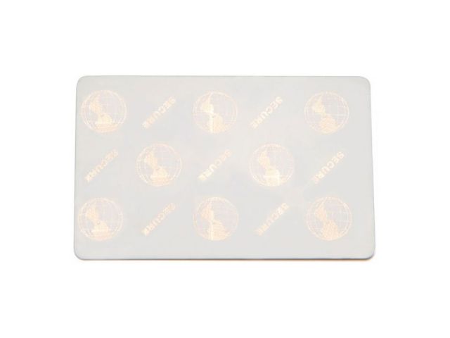 Zebra Card con ologramma "world globe" (conf. da 100 pz.)