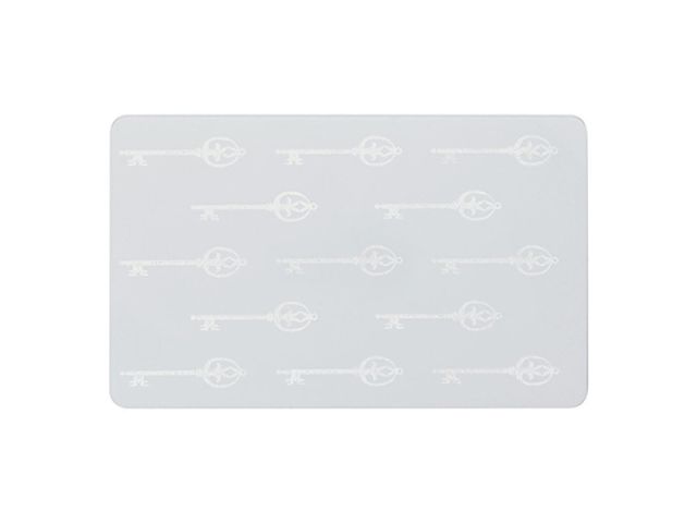 Zebra Card in Pvc composito con ologramma "Key" (conf. da 100 pz.)